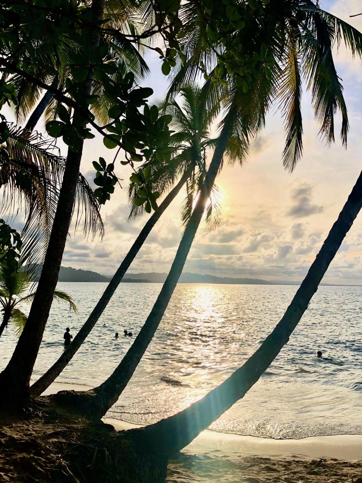 Cabinas Ole Caribe Puerto Viejo de Talamanca Εξωτερικό φωτογραφία