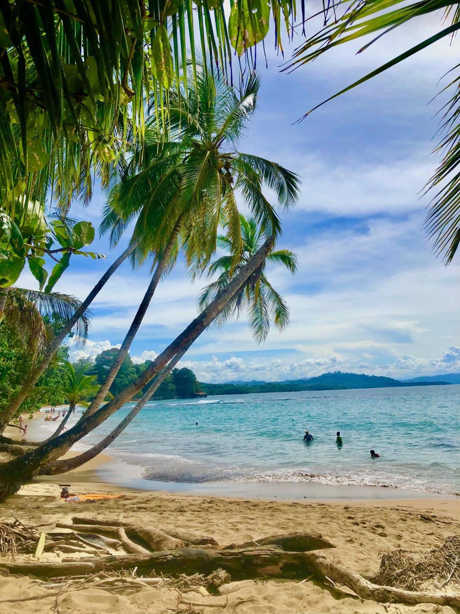Cabinas Ole Caribe Puerto Viejo de Talamanca Εξωτερικό φωτογραφία
