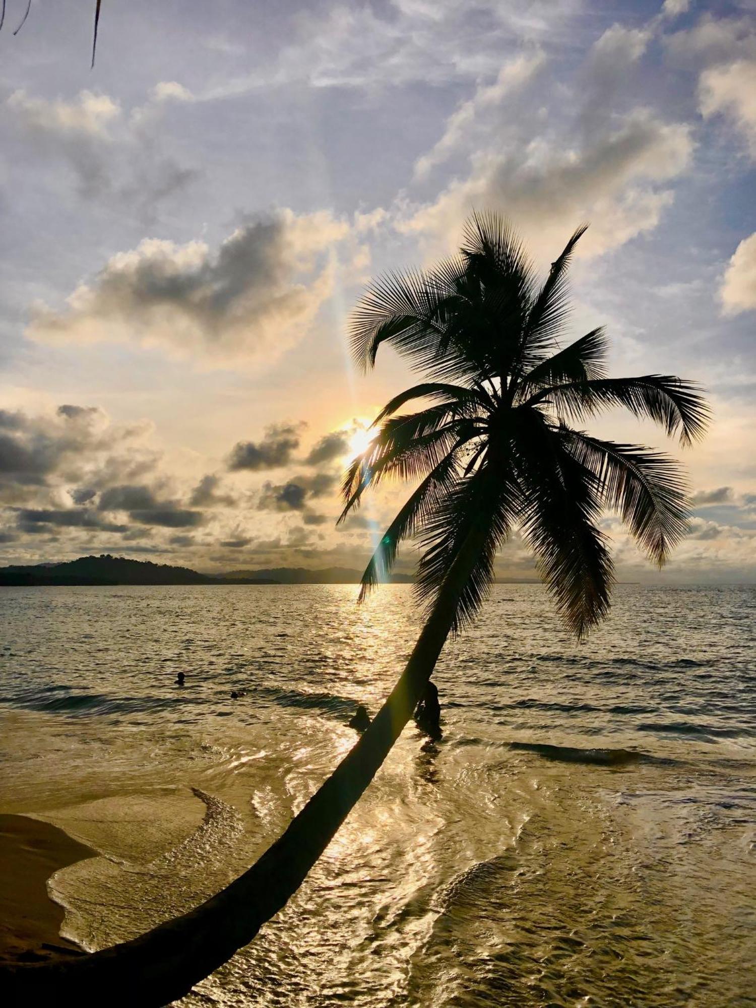 Cabinas Ole Caribe Puerto Viejo de Talamanca Εξωτερικό φωτογραφία