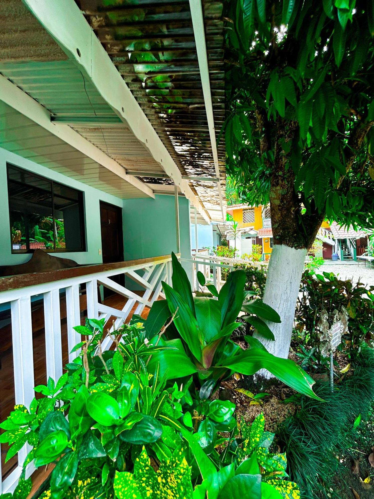 Cabinas Ole Caribe Puerto Viejo de Talamanca Εξωτερικό φωτογραφία